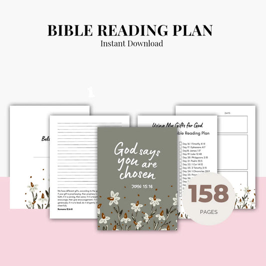 Bible Reading Plan (Digital Download)